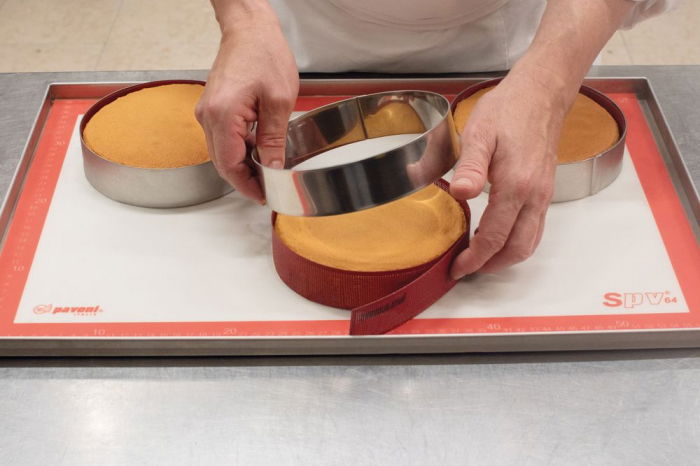 Set 10 Benzi Silicon Microforat pt. Ø 18-20 cm, 63.5 x H 2 cm [1]