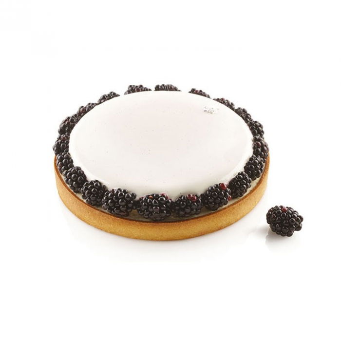 Set Tarte Ø 21 cm, 1 Rama Microforata + Forma Silicon [4]