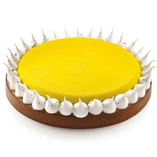 Set Tarte Ø 23 cm, 1 Rama Microforata + Forma Silicon [3]