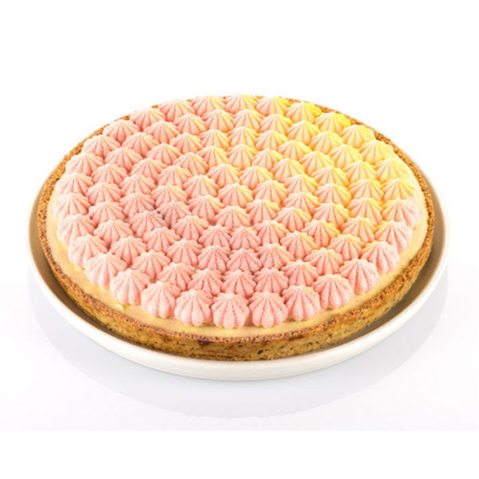 Set Tarte Meringue Ø 25 cm, 1 Rama Microforata + Forma Silicon [7]