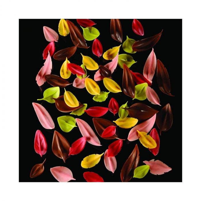 Spatula Inox Decor Ciocolata - Pene / Fulgi, 8x2.3 cm [6]