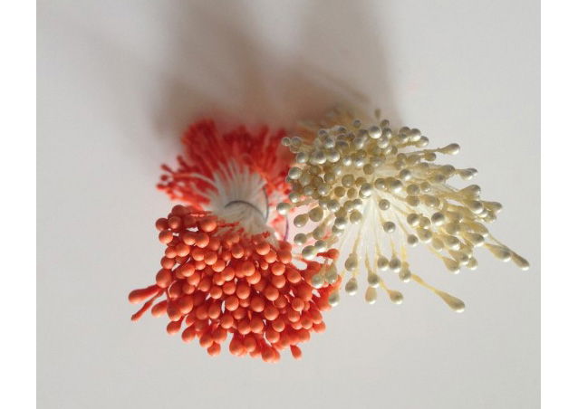 Stamine mici Crem perlat/Portocaliu opac [1]