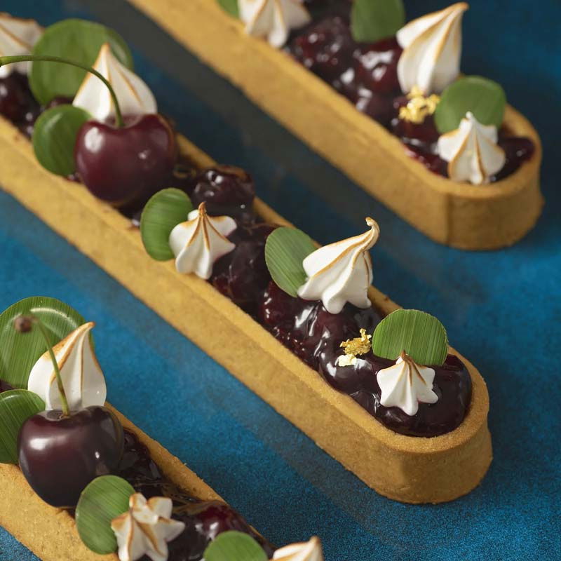 Umplutura cu Bucati Fruct Amarena Sour Cherry PreGel, 3 kg [3]