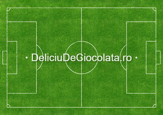 Vafa imprimata Teren Fotbal Model 2, A4 [1]