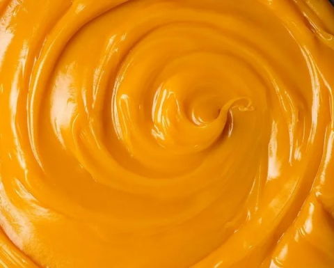 Crema Deli Portocale Gata de Utilizat Puratos, 5 Kg [2]