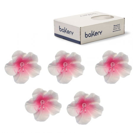 Flori din Zahar - Decor Zahar - Azalee Alb-Roz Ø 4 cm, 12 buc