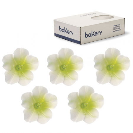 Decoratiuni Comestibile, Decor Tort - Decor Zahar - Azalee Alb-Verde Ø 4 cm, 12 buc