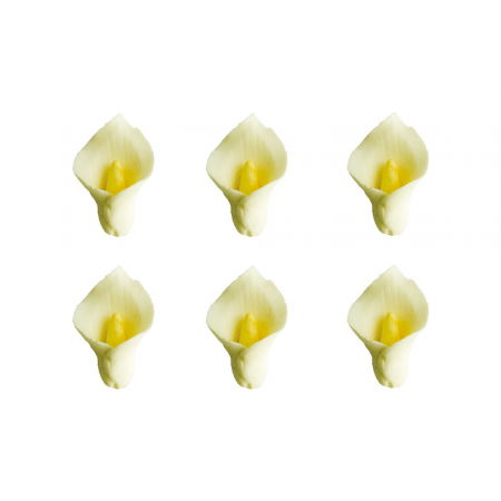 Decoratiuni Comestibile, Decor Tort - Decor Zahar - Cala Ø 3.5 cm, 6 buc