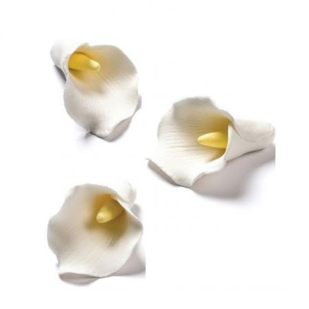 Decoratiuni Comestibile, Decor Tort - Decor Zahar - Cala Ø 4 cm, 12 buc