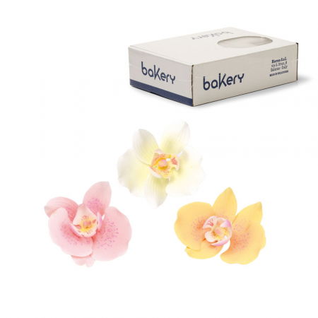 Decoratiuni Comestibile, Decor Tort - Decor Zahar - Orhidee Ø 8 cm, 3 culori, 6 buc