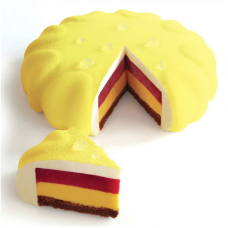 Forme Moderne Tort - Forma Pavoflex 60x40 cm Discuri Ø18xH3 cm, 6 cavitati, 150 ml