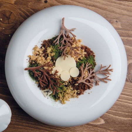 Forme Silicon pentru Decor si Plating - Forma Silicon Gourmand Ramuri 7.8 x 4.8 x H 0.2 cm, 10 cavitati