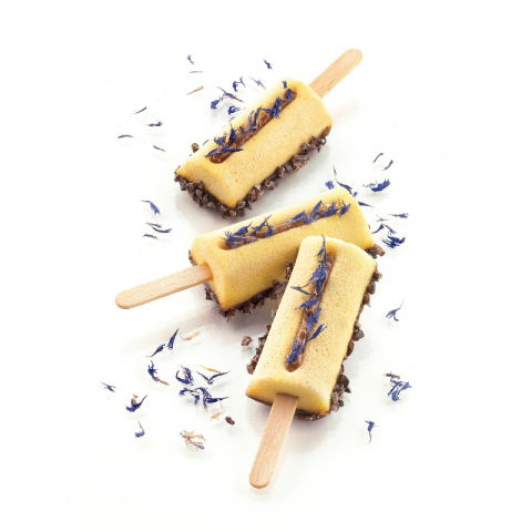 Forma Silicon Inghetata Mini Chic GEL05M, 4 cavitati x 7 x 3.2 x H 2.2 cm, 38 ml, 50 bastonase [2]