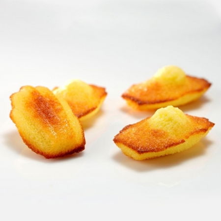 Forme 60x40cm Monoportii, Mignon - Forma Pavoflex 60x40 cm Madeleine 7.8x4.5xh 1.8 cm, 44 cavitati, 35 ml