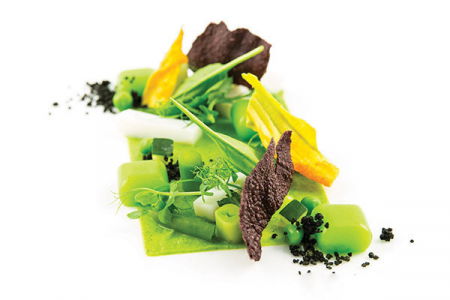 Forma Silicon Micro Gem5 2.3 x 2.3 x h 1.3 cm, 35 cavitati [5]