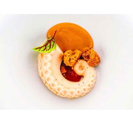 Forme de Silicon Cofetarie - Forma Silicon Silikomart NaturaE Caracatita 6 x 5 x H 2 cm, 20 ml,  12 cavitati