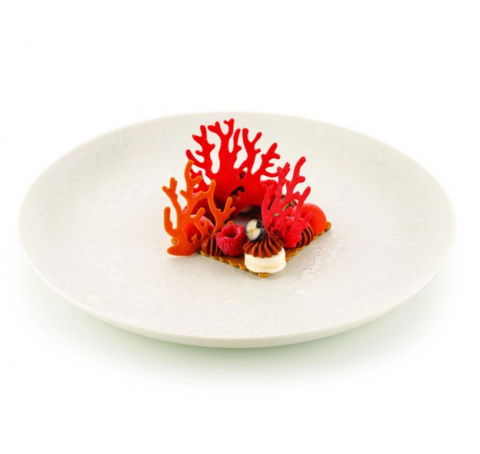 Forme Silicon pentru Decor si Plating - Forma Silicon Silikomart NaturaE Coral 2 modele 5 x 6.3 x H 2 cm - 6.8 x 6.3 x H 2 cm, 1 ml, 21 cavitati