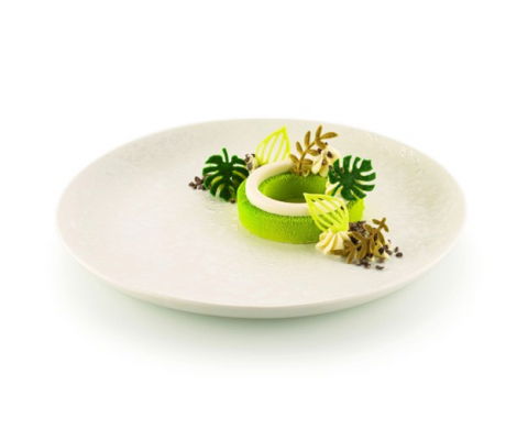 Forme de Silicon Cofetarie - Forma Silicon Silikomart NaturaE Frunze 4 modele 4 x 2.5 x H 2 cm - 4 x 4.9 x H 2 cm, 1 ml, 68 cavitati