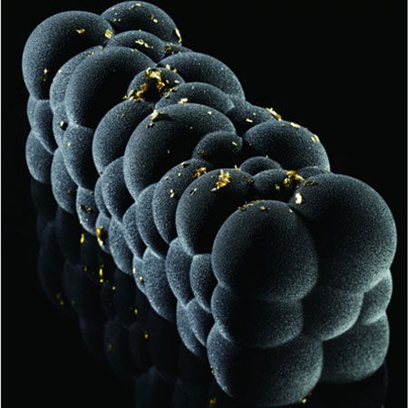 Forme de Silicon Cofetarie - Forma Silicon Tort 3D Atomic 25x8xH8 cm