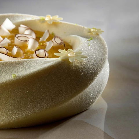 Forme Moderne Tort - Forma Silicon Tort 3D Karma Ø 18 x H 5.5 cm, 1000 ml