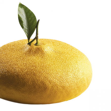 Forme Silicon Fructe - Lamaie/Lime 3D, Ø18xH7 cm - Forma Silicon Tort 3D golet