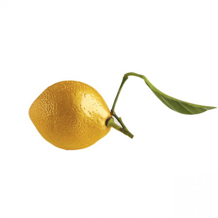 Forme de Silicon Cofetarie - Forma Silicon Monoportii Lamaie / Lime 3D, Ø5.3 x H7 cm, 8 cavitati - Golet