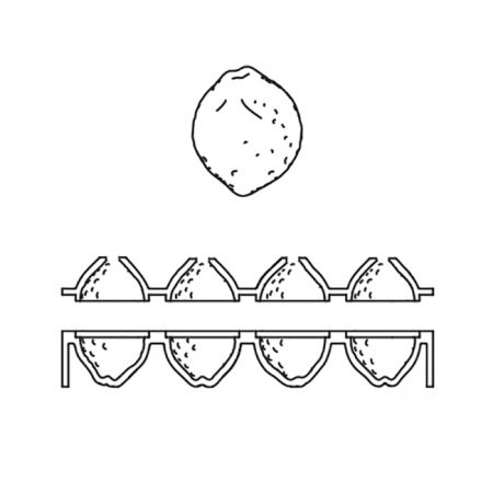 Forma Silicon Monoportii Lamaie / Lime 3D, Ø5.3 x H7 cm, 8 cavitati - Golet [2]