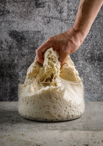 Materii Prime, Ingrediente - Maia de Grau Usor Aromata cu Drojdii Active Ireks, 1 Kg