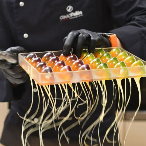 Matrita Policarbonat 24 Praline Ciocolata Model VIP Quartus, 2.7 x 2.7 x H 2.65 cm, 11 gr [2]