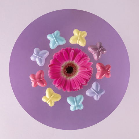 Ciocolaterie - Matrite, Ustensile - Matrita Policarbonat 24 Praline Fluture, 3.05 x 3.45 x H 1.4 cm, 9 gr