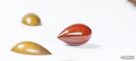 Matrite Praline 27.5x13.5cm Policarbonat - Matrita Policarbonat Frank Haasnoot Praline Ciocolata, 16 Cavitati, 4.55 x 2.5 x H 1.25 cm, 10 g