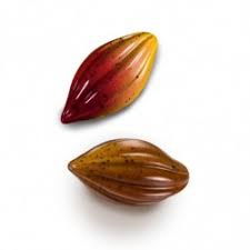 Matrite Praline 27.5x13.5cm Policarbonat - Matrita Policarbonat Gama Modern 21 Praline Ciocolata, 5.2 x 2.6 x H 1.4 cm, 9 g