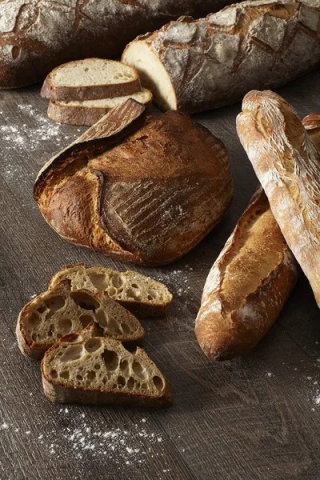 Various Ingredients - O-Tentic Durum - Componenta activa bazata pe maia naturala din grau dur, Puratos 1 Kg