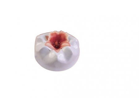 Orhidee Panse - Decupatoare Plastic Ø 5.7 - 9.6 cm, Set 3 Buc [2]