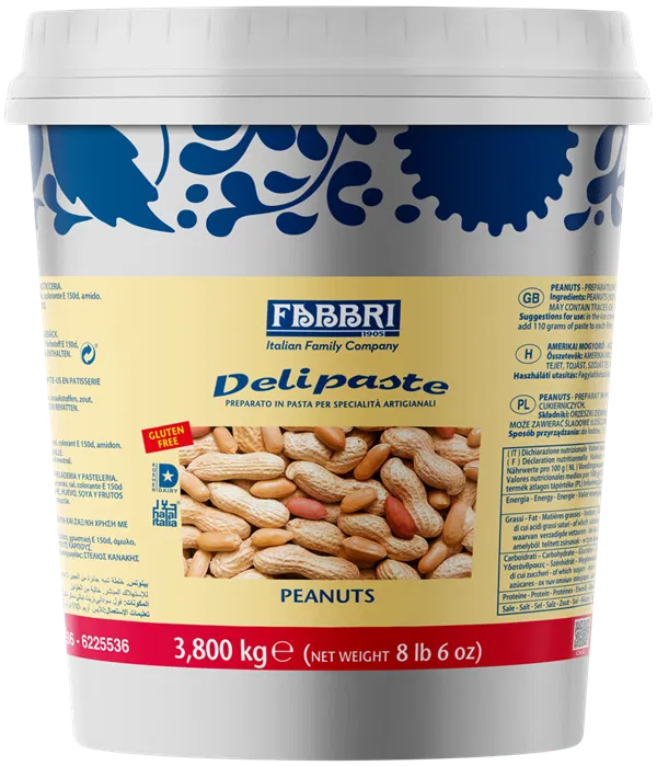 Paste Concentrate Aromatizante - Pasta aromatizanta Arahide Delipaste Fabbri, 3.8 kg