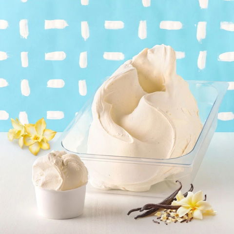 Paste Concentrate Aromatizante - Pasta Aromatizare Inghetata/Cofetarie, Vanilie Zero Zahar PreGel, 1.1 kg