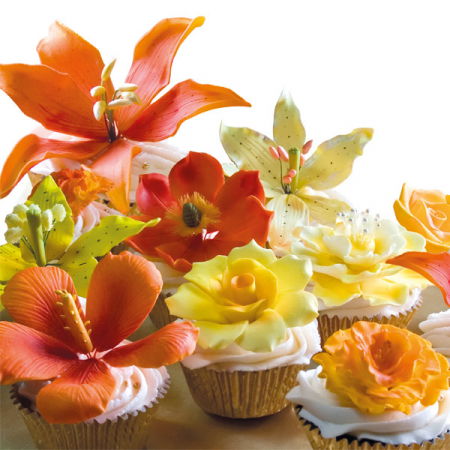 Gumpaste - Pasta pentru modelat Alba, Gum Paste, Vizyon, 1 Kg