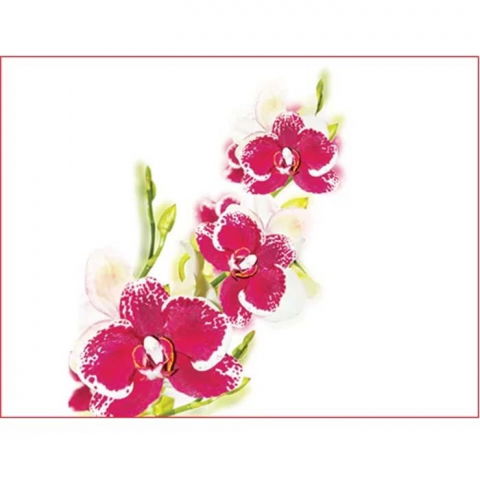 Decoratiuni Comestibile, Decor Tort - Pasta Zahar imprimata, Nunta Model Orhidee, 60x41 cm, Set 4 Buc