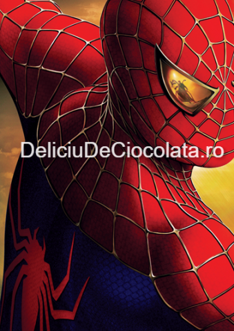 Personaje Celebre si Cinema - Pasta Zahar imprimata SpiderMan Model 5, A4