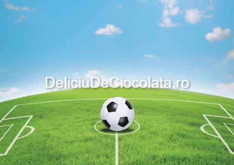 Fotbal, Sport - Pasta Zahar imprimata Teren Fotbal Model 1, A4