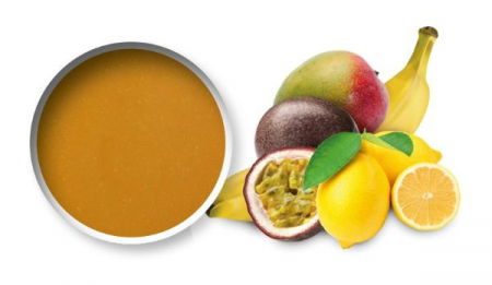 Piure Fructe, Siropuri - Piure Pasteurizat de Fructe Exotice, Starfruit PatisFrance, 1 kg