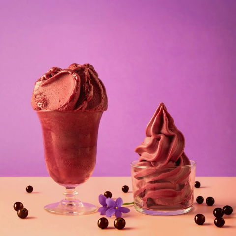 Materii Prime, Ingrediente - Premix Lichid Inghetata Soft/Sorbeto/Granita PRONTOFRUIT Acai si Afine PreGel, 1.8 kg