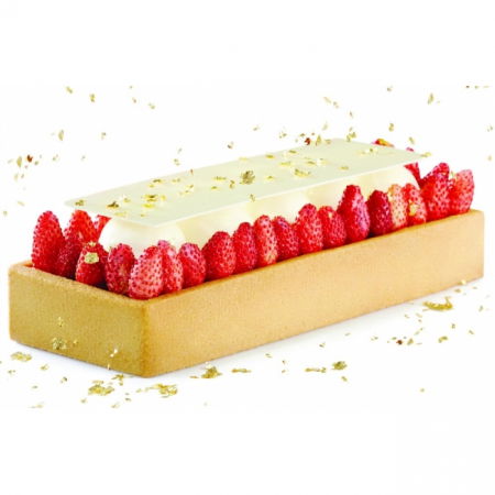 Rame Microforate Tarte - Rama Microforata Tarte Dreptughi Colturi Drepte, 29x9xH3.5 cm