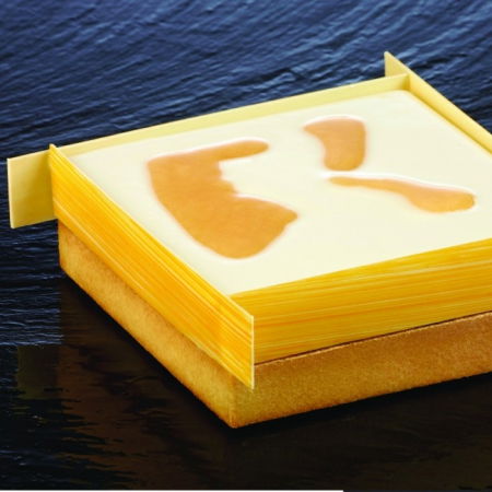 Rame Microforate Tarte - Rama Microforata Tarte Patrate Colturi Drepte, 19x19xH2 cm