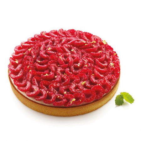 Rame Microforate Tarte - Rama Termoplastic Microforata Ø 21, Rotunda