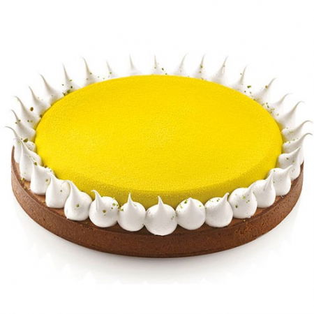 Set Tarte Ø 23 cm, 1 Rama Microforata + Forma Silicon [2]