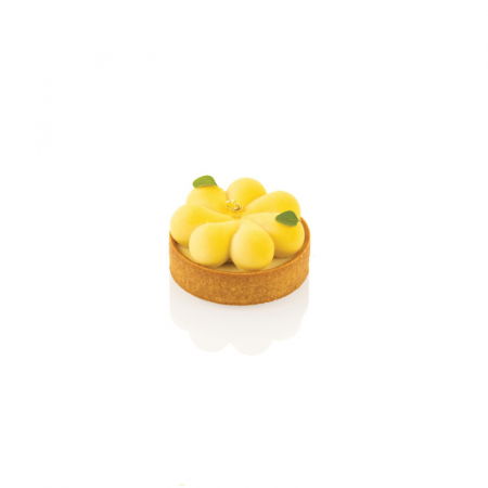Forme Tarte Moderne - Set Tarte Blossom Ø 7 x H 2 cm, 8 Rame Microforate + Forma Silicon 8 cavitati