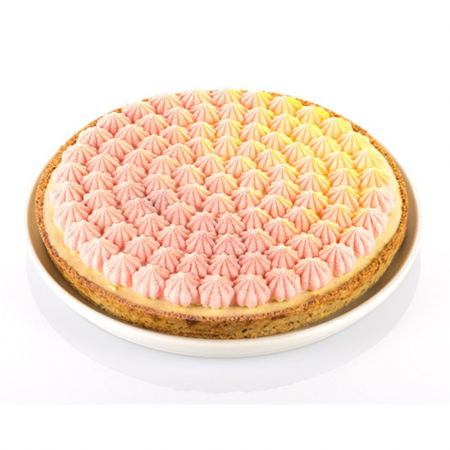 Set Tarte Meringue Ø 25 cm, 1 Rama Microforata + Forma Silicon [6]