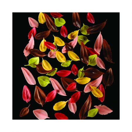 Spatula Inox Decor Ciocolata - Pene / Fulgi, 8x2.3 cm [5]