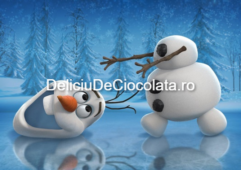 Decoratiuni Comestibile, Decor Tort - Vafa imprimata Frozen Model 1, A4